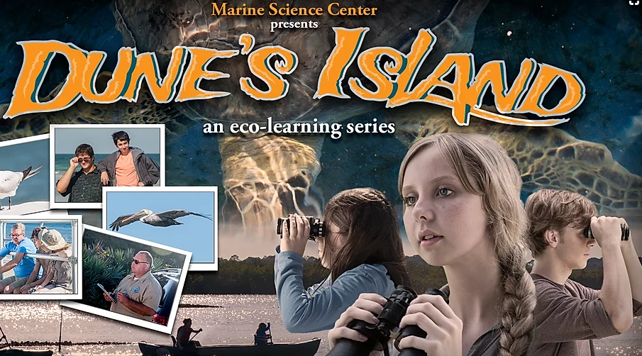 Dunes Island Learning Resource