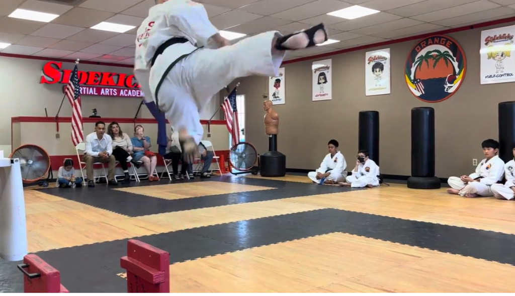 De Jesus flying sidekick