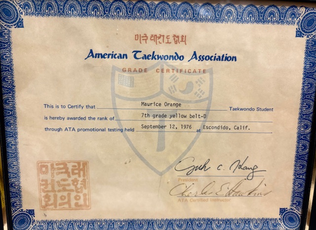 Yellow Belt Certificate GMO